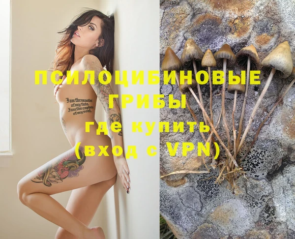 героин Алзамай